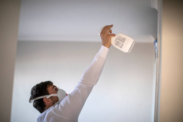 Best Professional Mold Removal  in Lacy Lakeview, TX