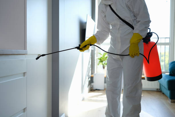 Best Residential Mold Removal  in Lacy Lakeview, TX