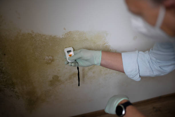 Best Office Mold Removal Services  in Lacy Lakeview, TX