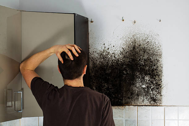 Best Mold Cleaning Services  in Lacy Lakeview, TX